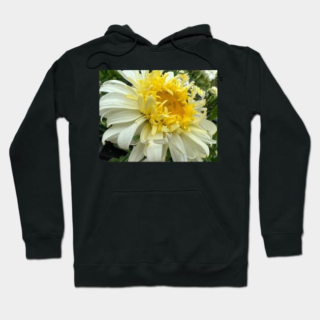 Dahlia Abundant Joy Hoodie by Photomersion